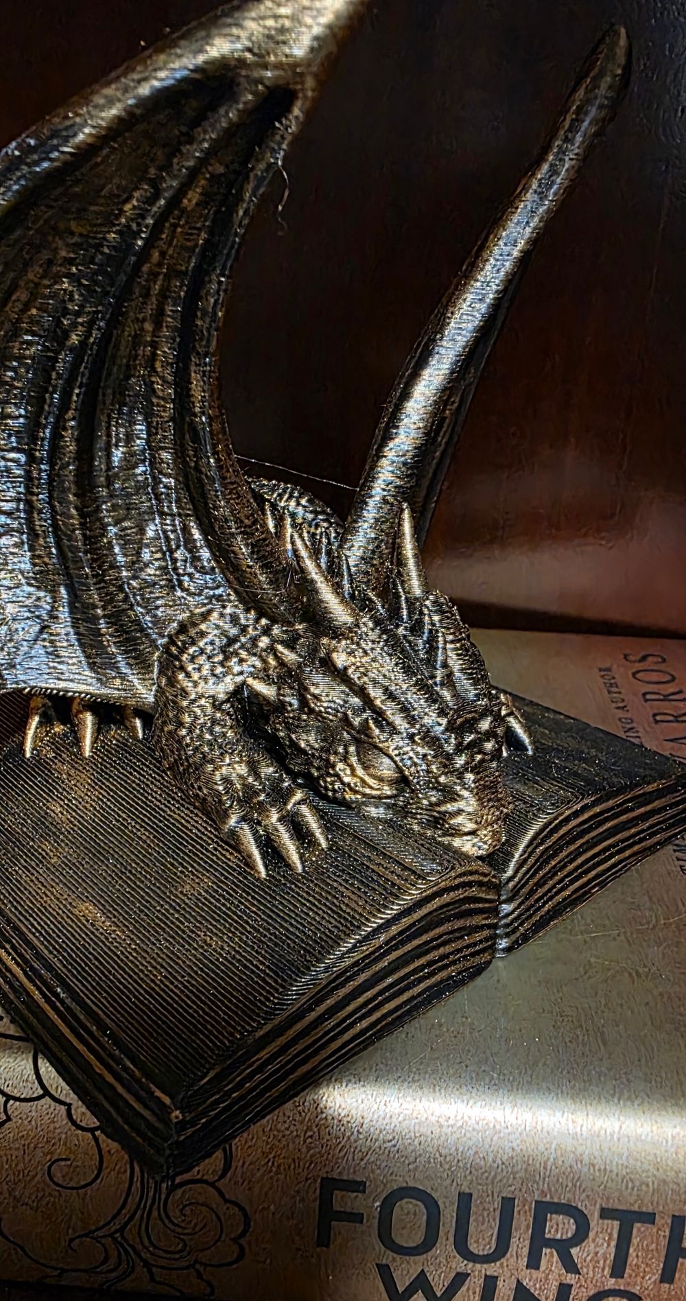 Sleeping dragon bookshelf decor